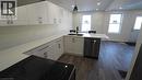 246 Forest Avenue, Hamilton, ON  - Indoor Photo Showing Kitchen With Double Sink 