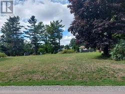LOT 56 - 13 MINK ALLEY Kawartha Lakes (Carden), ON L3V 6H5