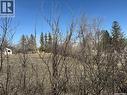 116 1St Street N, Mendham, SK  - Outdoor With View 