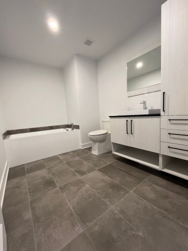 Salle de bains - 204-12065 Rue De Blois, Mirabel, QC - Indoor Photo Showing Bathroom