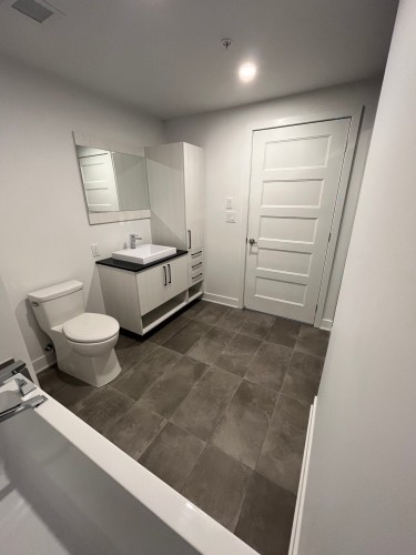 Salle de bains - 204-12065 Rue De Blois, Mirabel, QC - Indoor Photo Showing Other Room