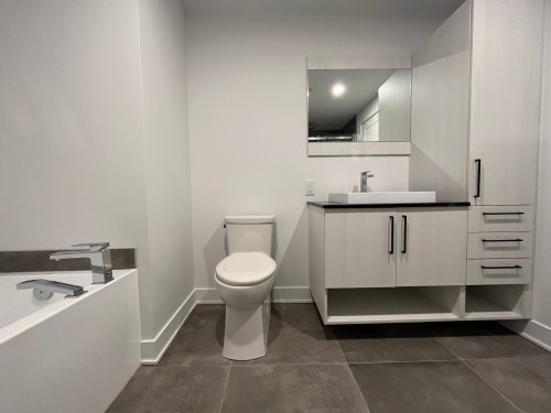 Salle de bains - 204-12065 Rue De Blois, Mirabel, QC - Indoor Photo Showing Bathroom