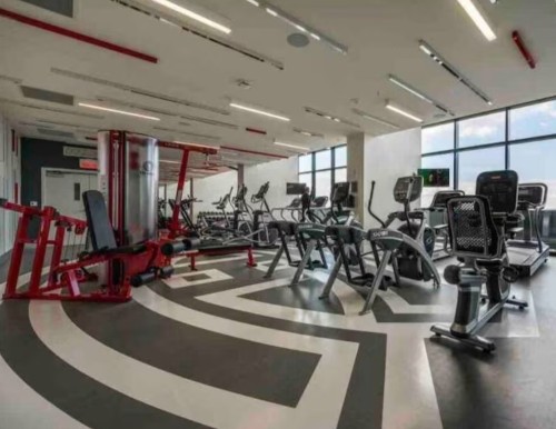 Salle d'exercice - 3008-1288 Rue St-Antoine O., Montréal (Ville-Marie), QC - Indoor Photo Showing Gym Room