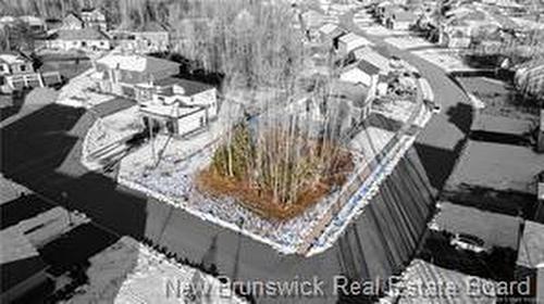 77 Blackstone, Moncton, NB 