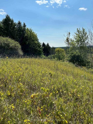 Lot 29 5Th Line E, Mulmur, ON 