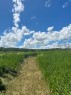 Lot 29 5Th Line E, Mulmur, ON 