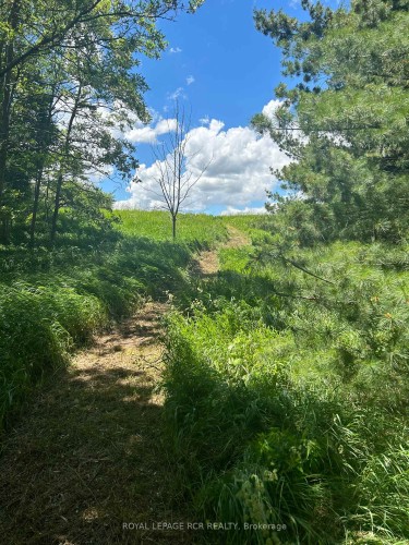 Lot 29 5Th Line E, Mulmur, ON 