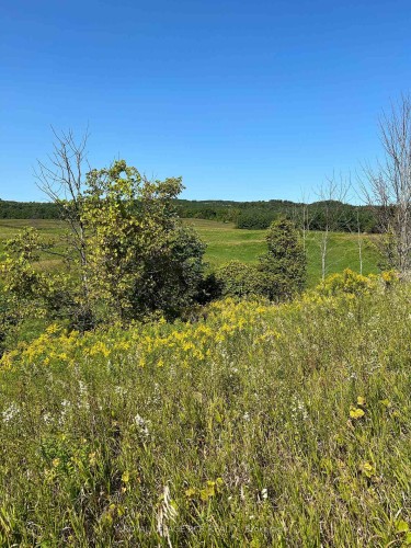 Lot 29 5Th Line E, Mulmur, ON 