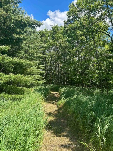 Lot 29 5Th Line E, Mulmur, ON 