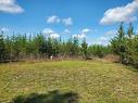 0 78E Road, Piney Rm, MB 