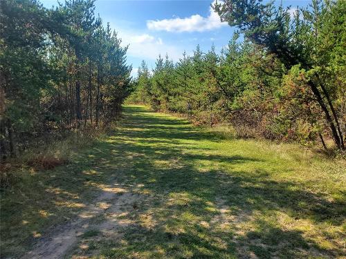 0 78E Road, Piney Rm, MB 