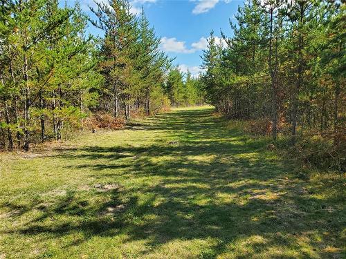 0 78E Road, Piney Rm, MB 