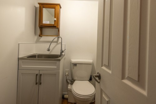Powder room - 259 Ch. Draper, Sutton, QC - Indoor Photo Showing Bathroom