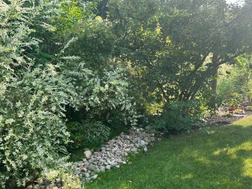 Cour - 73 Rue Lower Whitlock, Hudson, QC - Outdoor