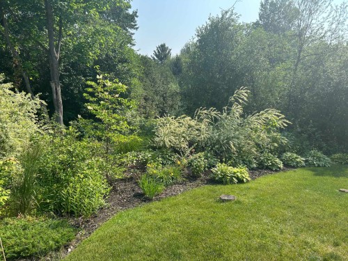 Cour - 73 Rue Lower Whitlock, Hudson, QC - Outdoor