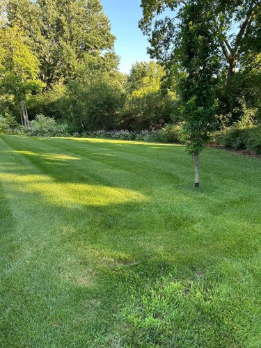 Cour - 73 Rue Lower Whitlock, Hudson, QC - Outdoor