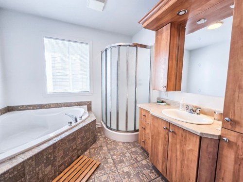 Bathroom - 310 Rue Mary, Lachute, QC - Indoor Photo Showing Bathroom
