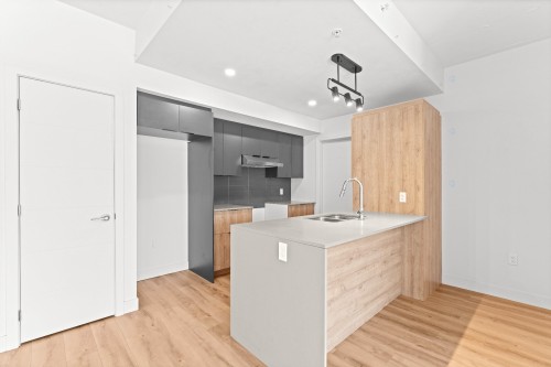 Vue d'ensemble - 608-60  - 70 Rue Wellington S., Sherbrooke (Les Nations), QC - Indoor Photo Showing Kitchen With Double Sink