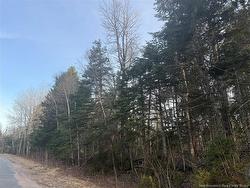 -- McKay Loop RD Pennfield, NB E5H 2L2