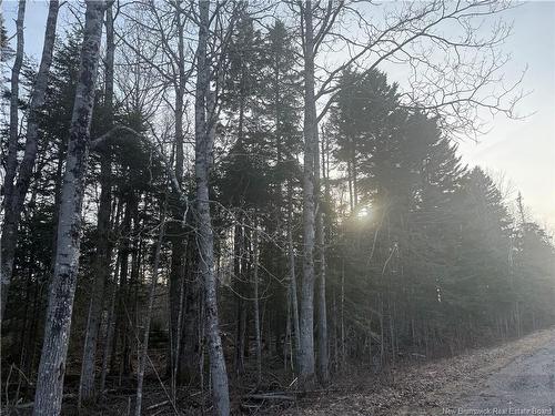 -- Mckay Loop Rd, Pennfield, NB 