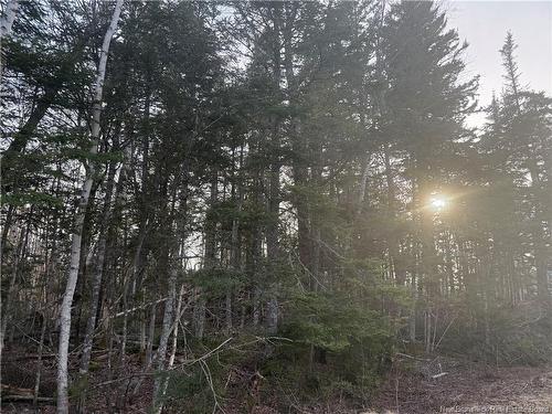 -- Mckay Loop Rd, Pennfield, NB 