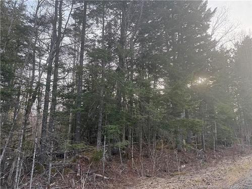 -- Mckay Loop Rd, Pennfield, NB 