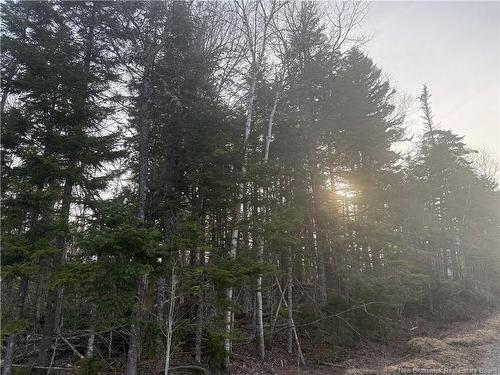 -- Mckay Loop Rd, Pennfield, NB 