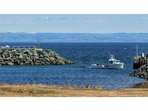 741 Nb-320, Anse-Bleue, NB 