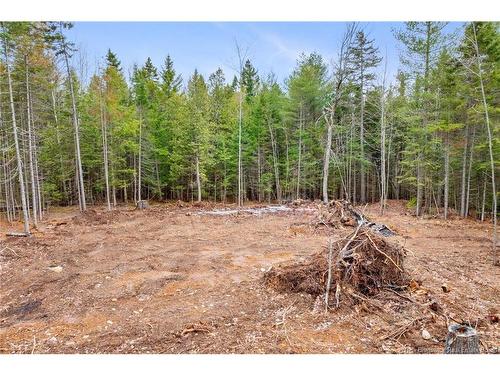 149 Christopher Dr, Burton, NB 