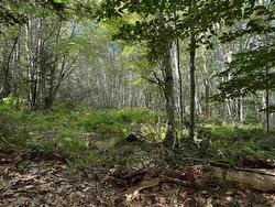 2553 Morse Road Bridgetown, NS B0S 1C0