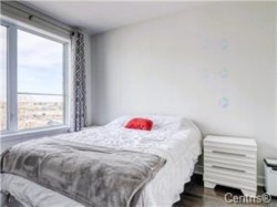 Chambre à coucher principale - 