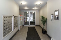 Hall d'entrée/Vestibule - 