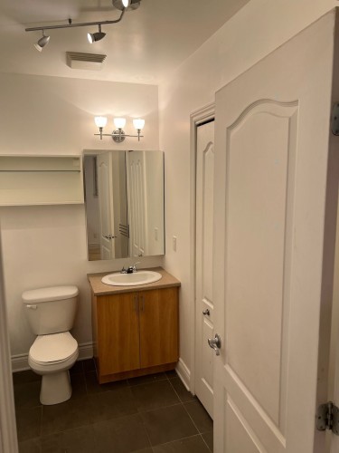 Salle de bains - 1-6770 Av. De Darlington, Montréal (Côte-Des-Neiges/Notre-Dame-De-Grâce), QC - Indoor Photo Showing Bathroom