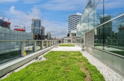 Terrasse - 