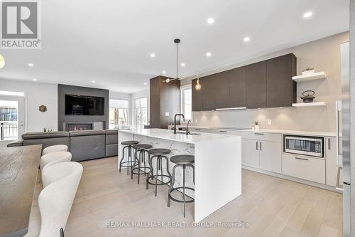 101 Tay Street, Ottawa, ON - Indoor Photo Showing Kitchen With Upgraded Kitchen