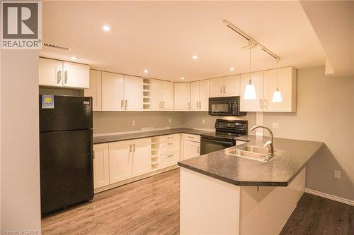 Basement kitchen - 96 Pathfinder Crescent, Kitchener, ON - Indoor Photo Showing Kitchen With Double Sink