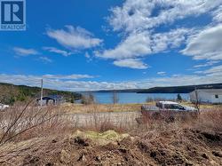 0 Ivanys Cove Road Ivanys Cove, NL A0E 2P0