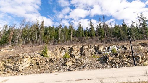 287 Bayview Drive, Sicamous, BC - Outdoor With View