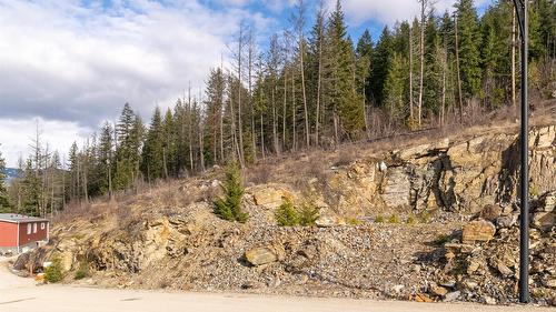 287 Bayview Drive, Sicamous, BC - Outdoor With View