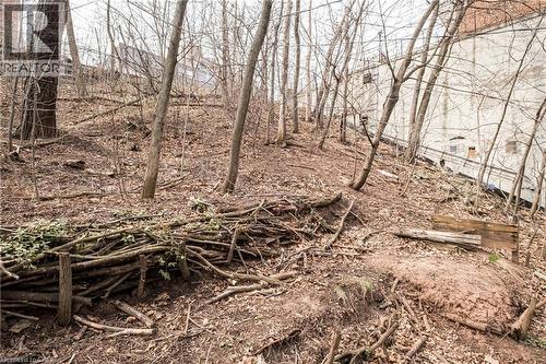 24 Patrick Street, Hamilton, ON - Outdoor With View