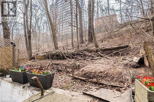 24 Patrick Street, Hamilton, ON - Outdoor