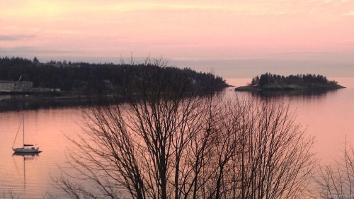 205-2560 Departure Bay Rd  Nanaimo, BC V9S 5P1