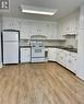 52 Walter Street, Kitchener, ON  - Indoor Photo Showing Kitchen 