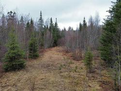 V/L 204 Highway  Birchwood, NS B0M 1P0