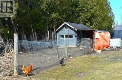View of shed - 