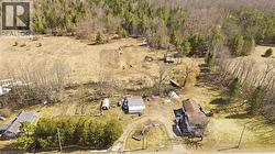 View of rural area with a forest - 