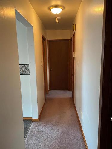 142 Mound Avenue, Pilot Mound, MB - Indoor Photo Showing Other Room