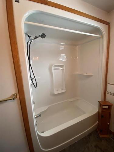 142 Mound Avenue, Pilot Mound, MB - Indoor Photo Showing Bathroom