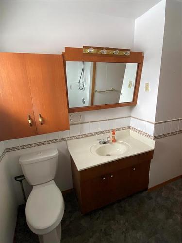 142 Mound Avenue, Pilot Mound, MB - Indoor Photo Showing Bathroom