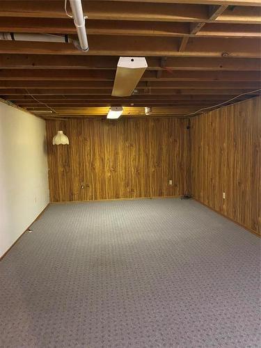 142 Mound Avenue, Pilot Mound, MB - Indoor Photo Showing Basement